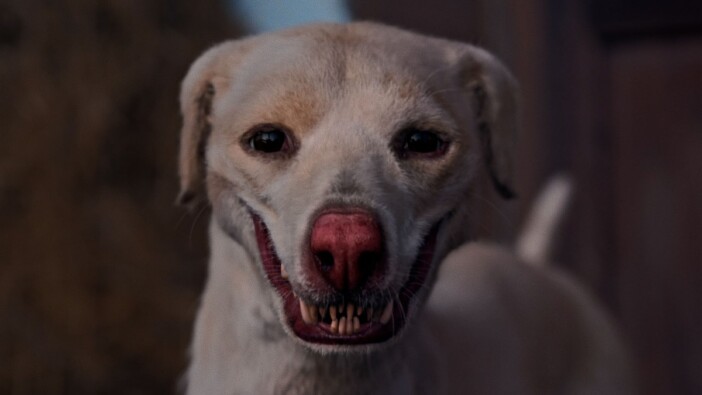 ベトナムが生んだ“犬食文化”ホラー、『狗神の業』8月15日公開　予告編＆場面写真も