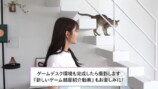 貴島明日香の新居ルームツアー動画に反響の画像
