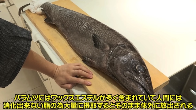 きまぐれクック、“販売してはいけない魚”調理の画像
