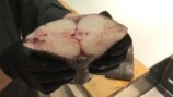 きまぐれクック、“販売してはいけない魚”調理の画像