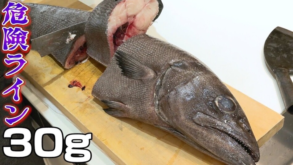 きまぐれクック、“販売してはいけない魚”調理