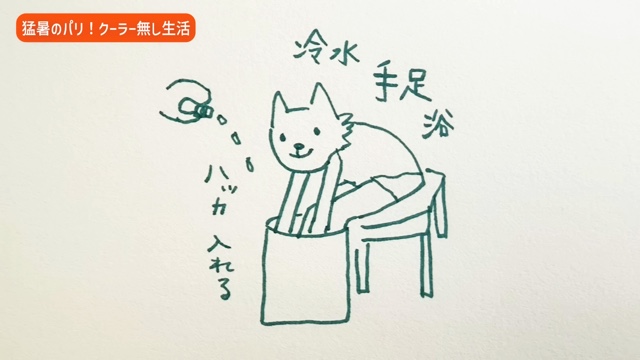杏、パリの“災害級の猛暑”を報告の画像