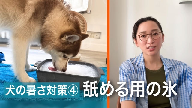 杏、パリの“災害級の猛暑”を報告の画像