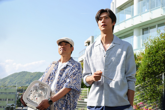 『初恋DOGs』が“好き”になる3つのポイントの画像