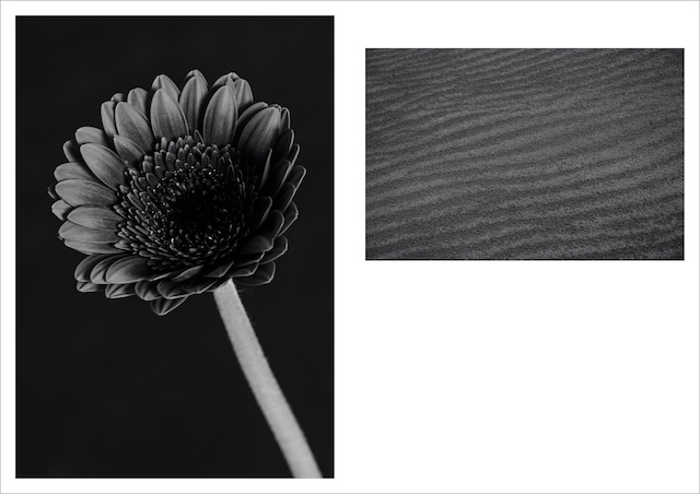 古屋呂敏、創作への情熱と等身大の想いの画像