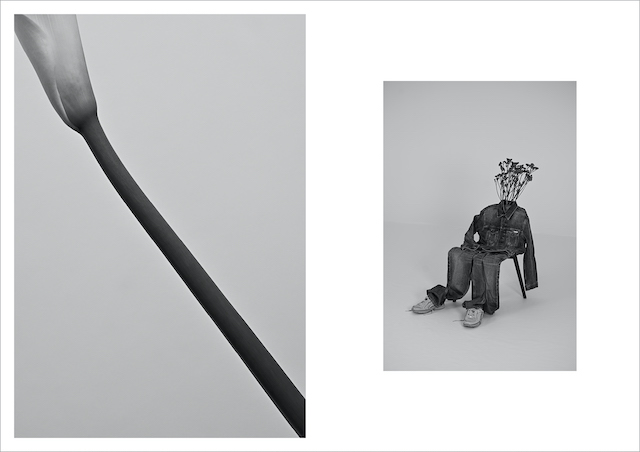 古屋呂敏、創作への情熱と等身大の想いの画像