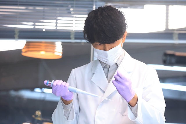 今こそ観直したい白石麻衣の過去作5選の画像