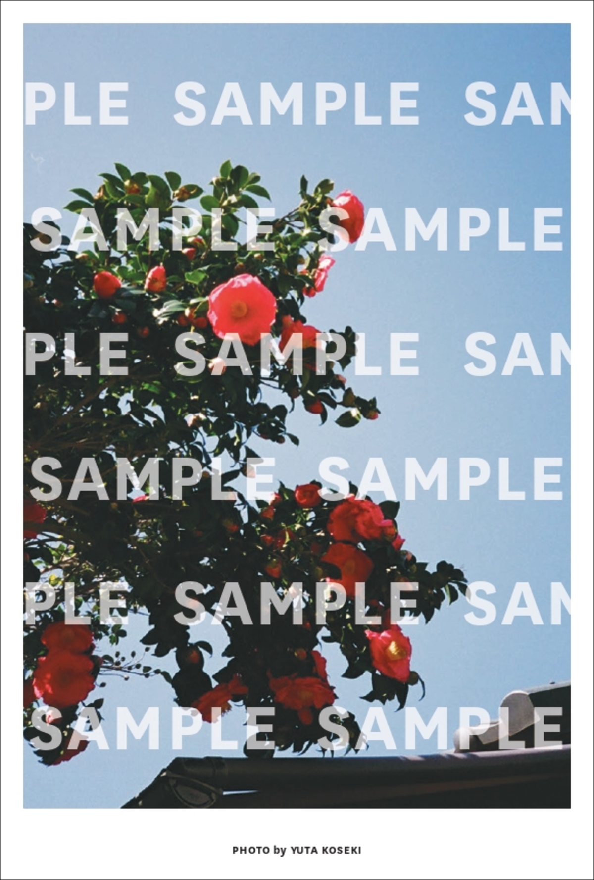 小関裕太『Y』特製スタンプ押印会開催の画像