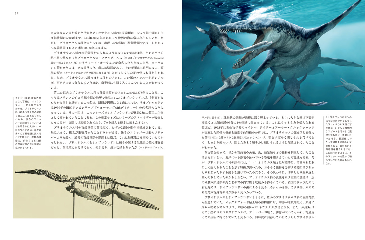 『太古の海の覇者 海生爬虫類図鑑』の画像