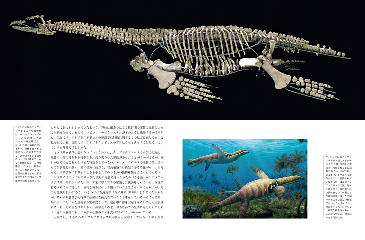 『太古の海の覇者 海生爬虫類図鑑』の画像