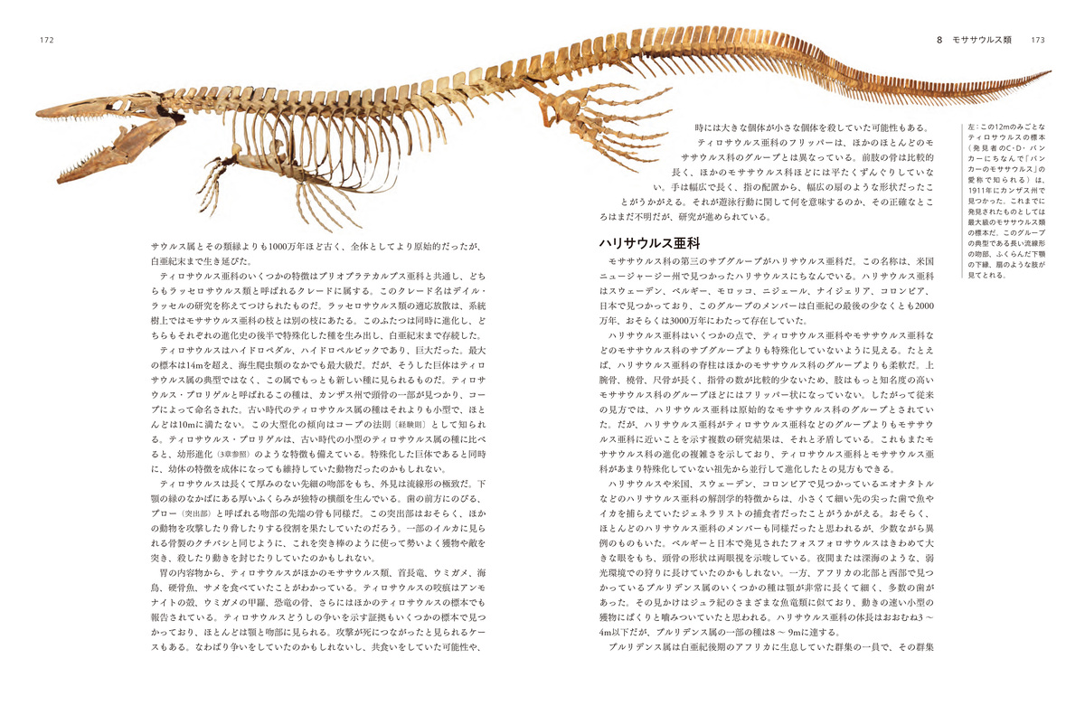 『太古の海の覇者 海生爬虫類図鑑』の画像