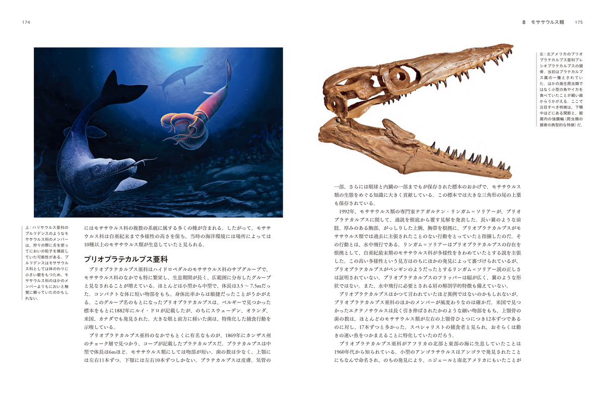 『太古の海の覇者 海生爬虫類図鑑』の画像