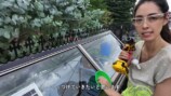 森泉、自宅のミニ温室をDIYして大満足の画像