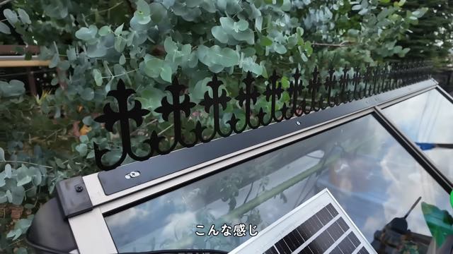 森泉、自宅のミニ温室をDIYして大満足の画像