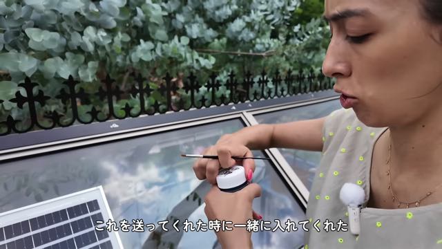 森泉、自宅のミニ温室をDIYして大満足の画像