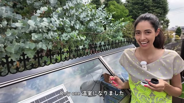 森泉、自宅のミニ温室をDIYして大満足の画像