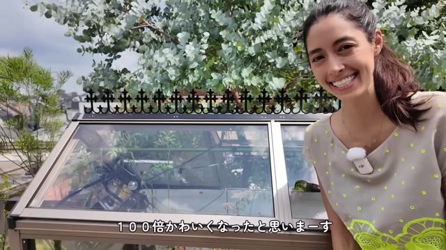 森泉、自宅のミニ温室をDIYして大満足の画像
