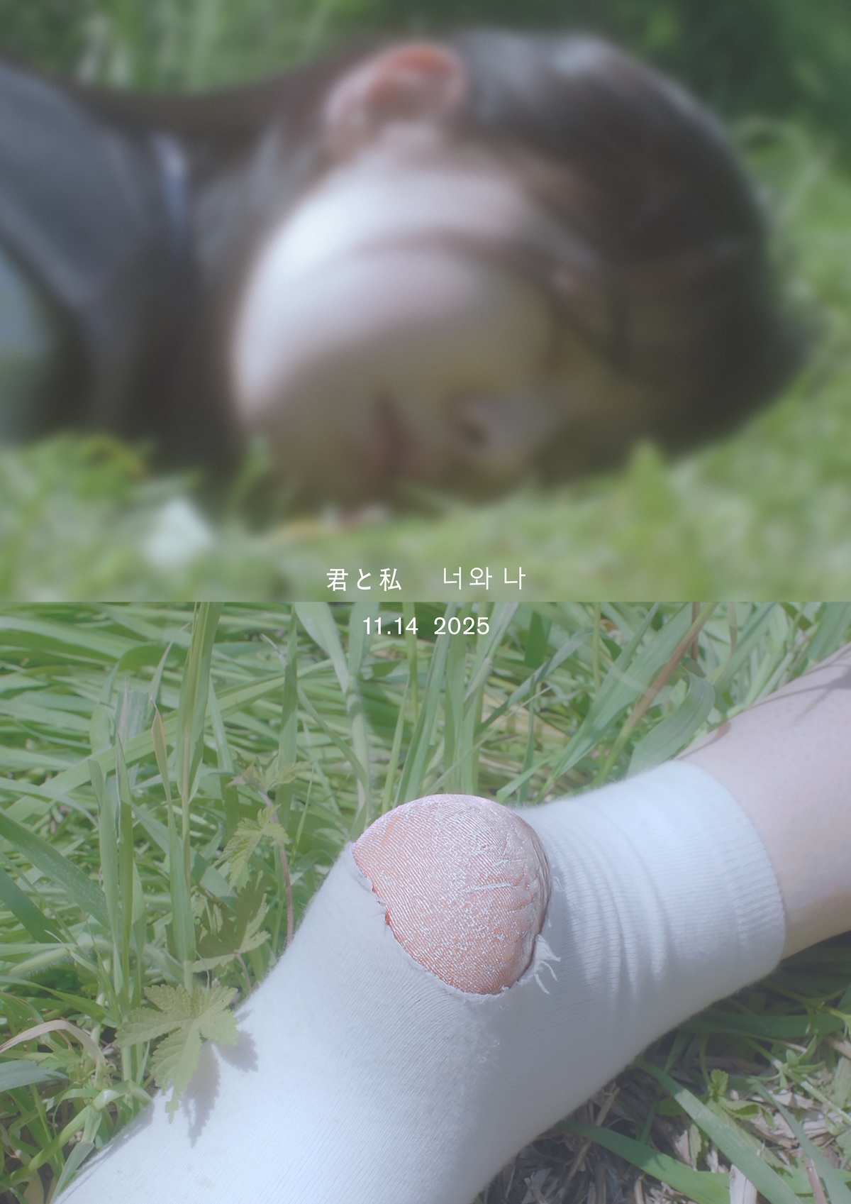 韓国映画『君と私』11月14日公開へ