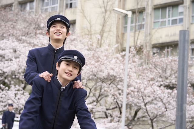 森七菜の芝居はなぜ“存在感”があるのかの画像