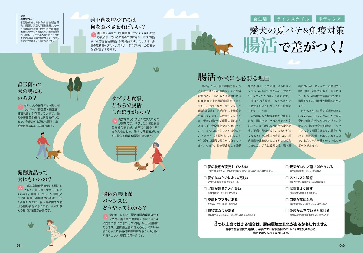 矢田亜希子、愛犬専門誌『chico』に登場の画像