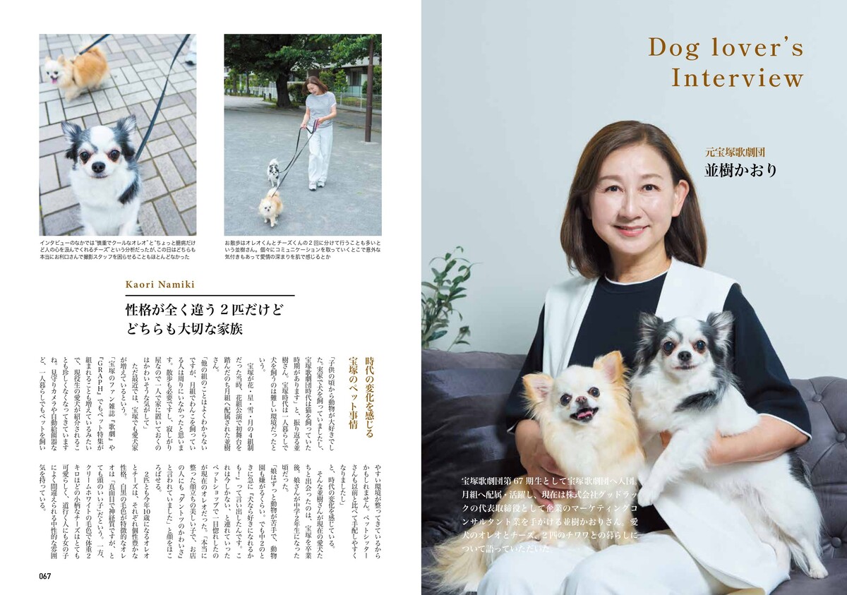 矢田亜希子、愛犬専門誌『chico』に登場の画像