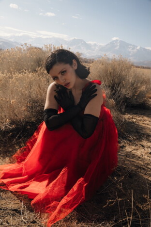 グレイシー、ニューEP『Ladybug』配信