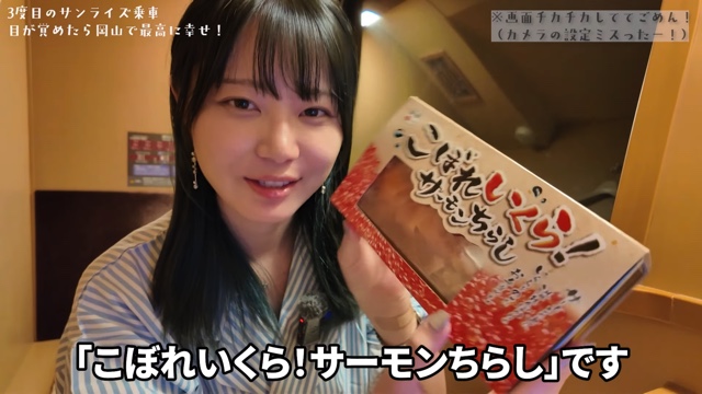 寝台列車の「サンライズ出雲」に乗るいけちゃん