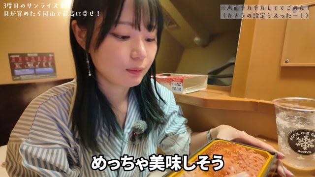 寝台列車の「サンライズ出雲」に乗るいけちゃん