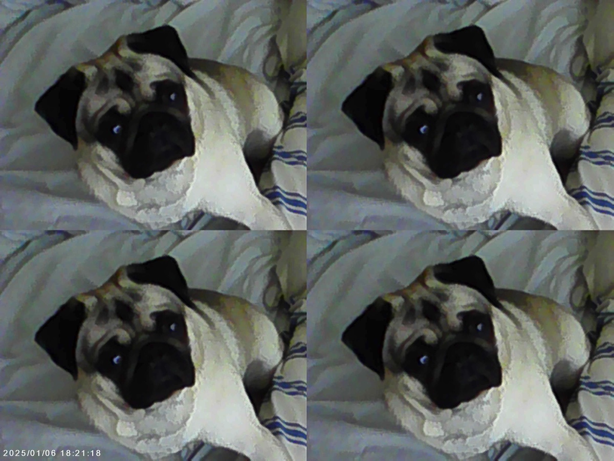 「3COINS」のミニトイカメラ