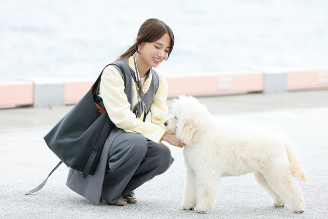 『初恋DOGs』思わず涙の“将軍”の名演の画像