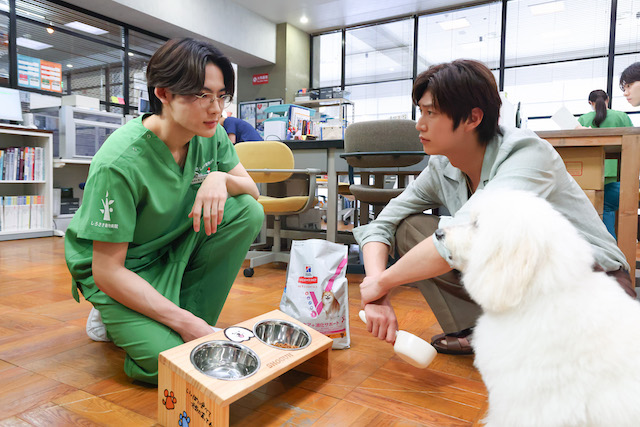 『初恋DOGs』思わず涙の“将軍”の名演の画像