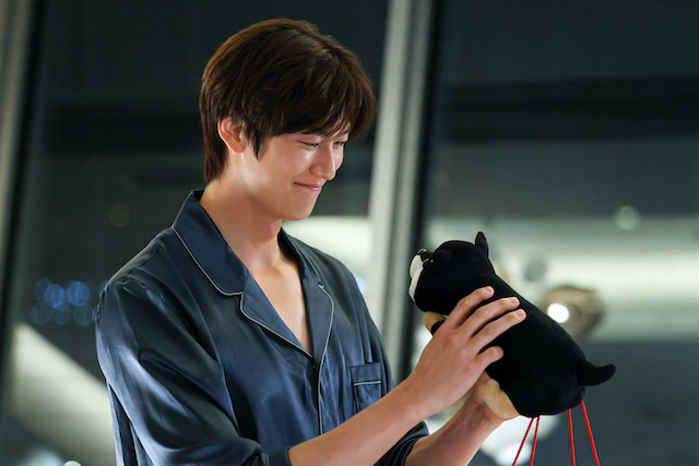 『初恋DOGs』思わず涙の“将軍”の名演の画像