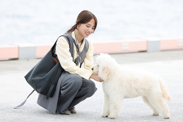 『初恋DOGs』第3話先行カットの画像