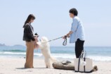 『初恋DOGs』第3話先行カットの画像