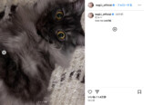 井上和 公式Instagram