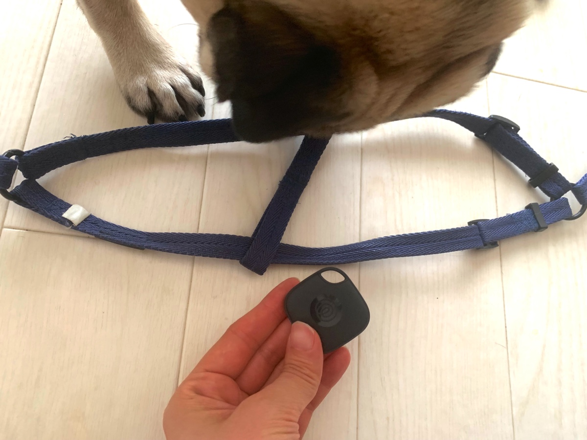 Tile製品の新モデルを活用した様子