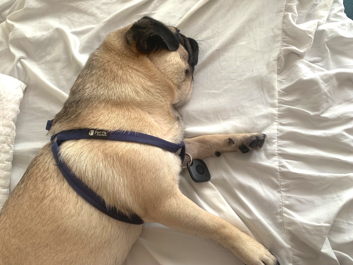 Tile製品の新モデルを活用した様子