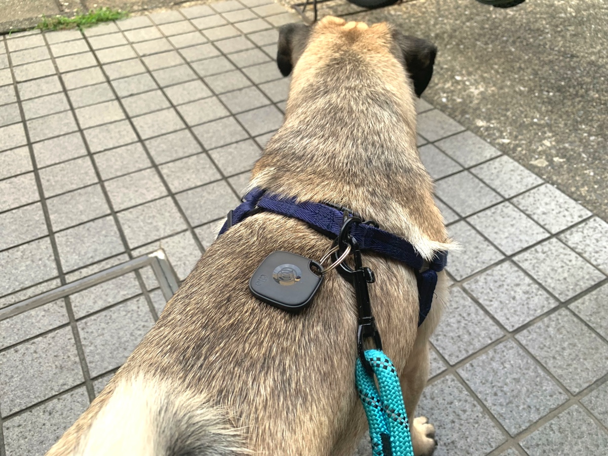 Tile製品の新モデルを活用した様子