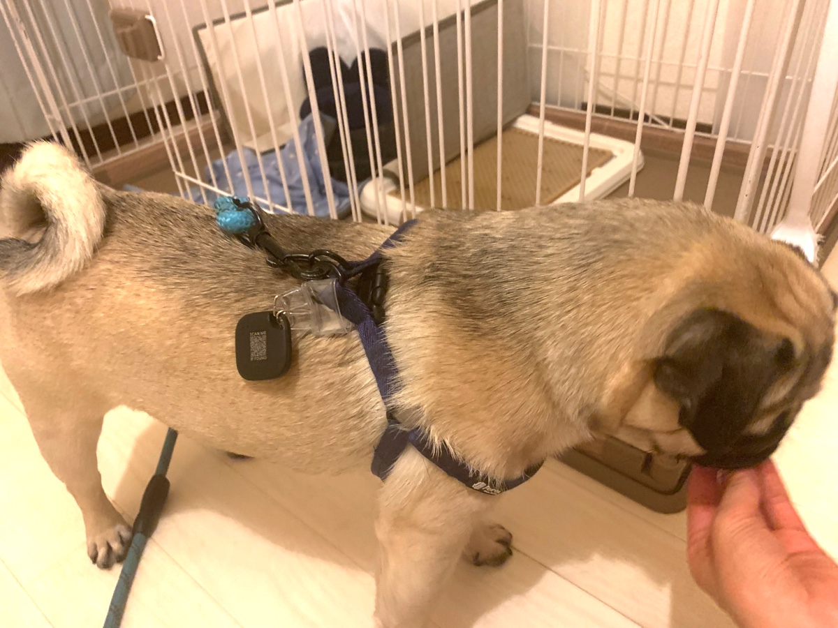 Tile製品の新モデルを活用した様子