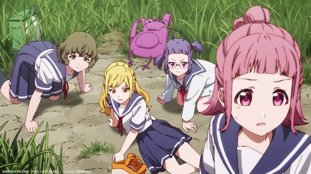 『Turkey!』の画像