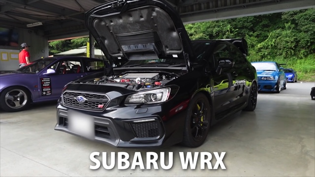 サーキットを走るあま猫