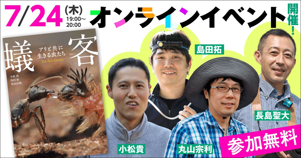 『蟻客 アリと共に生きる虫たち』の画像