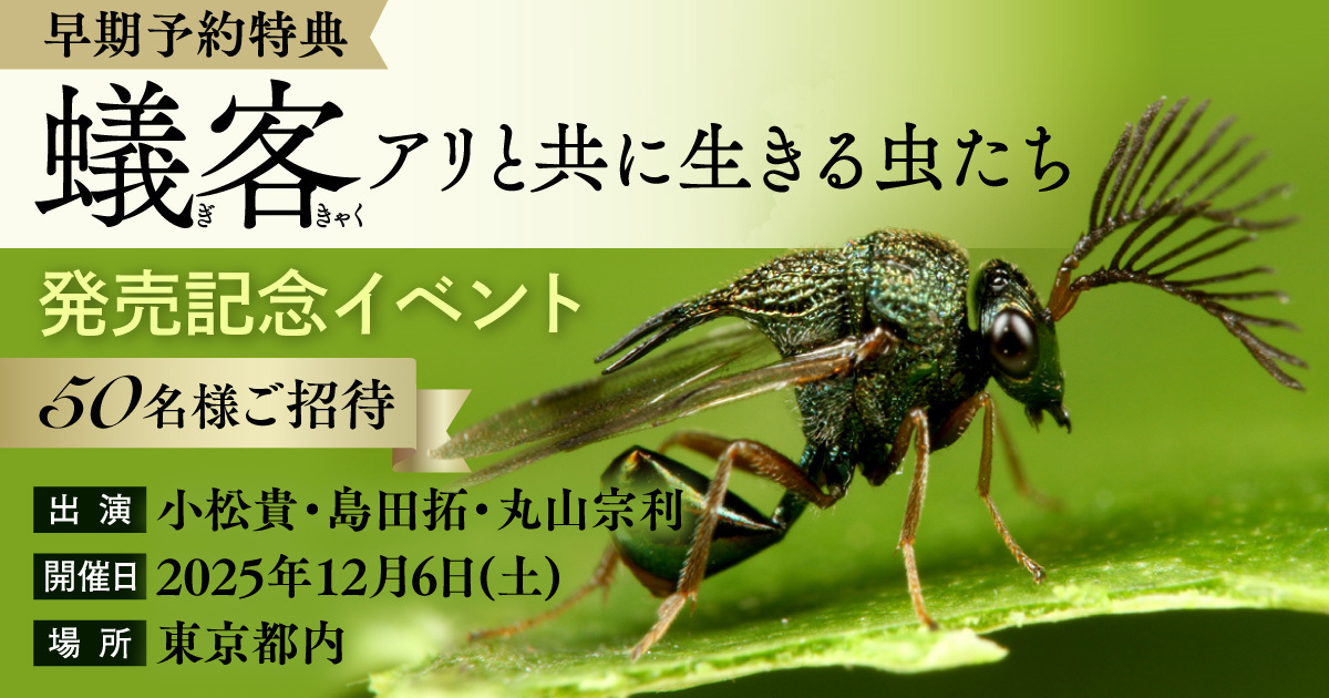 『蟻客 アリと共に生きる虫たち』の画像