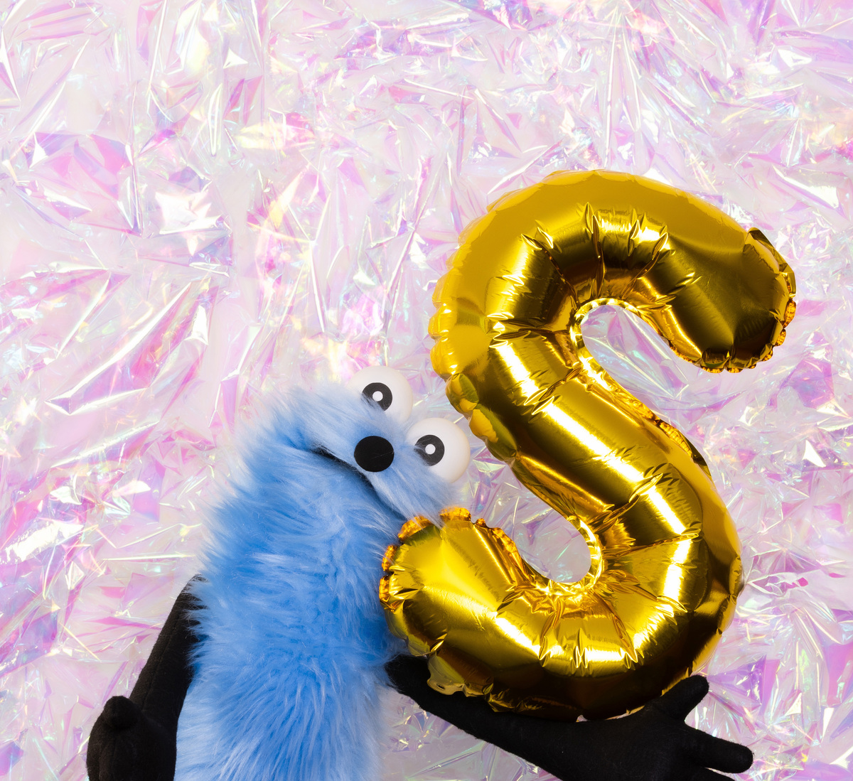 亀梨和也、愛犬とのエピソードを披露の画像