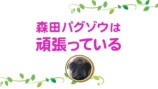 坂上忍の愛犬・パグゾウが永眠の画像