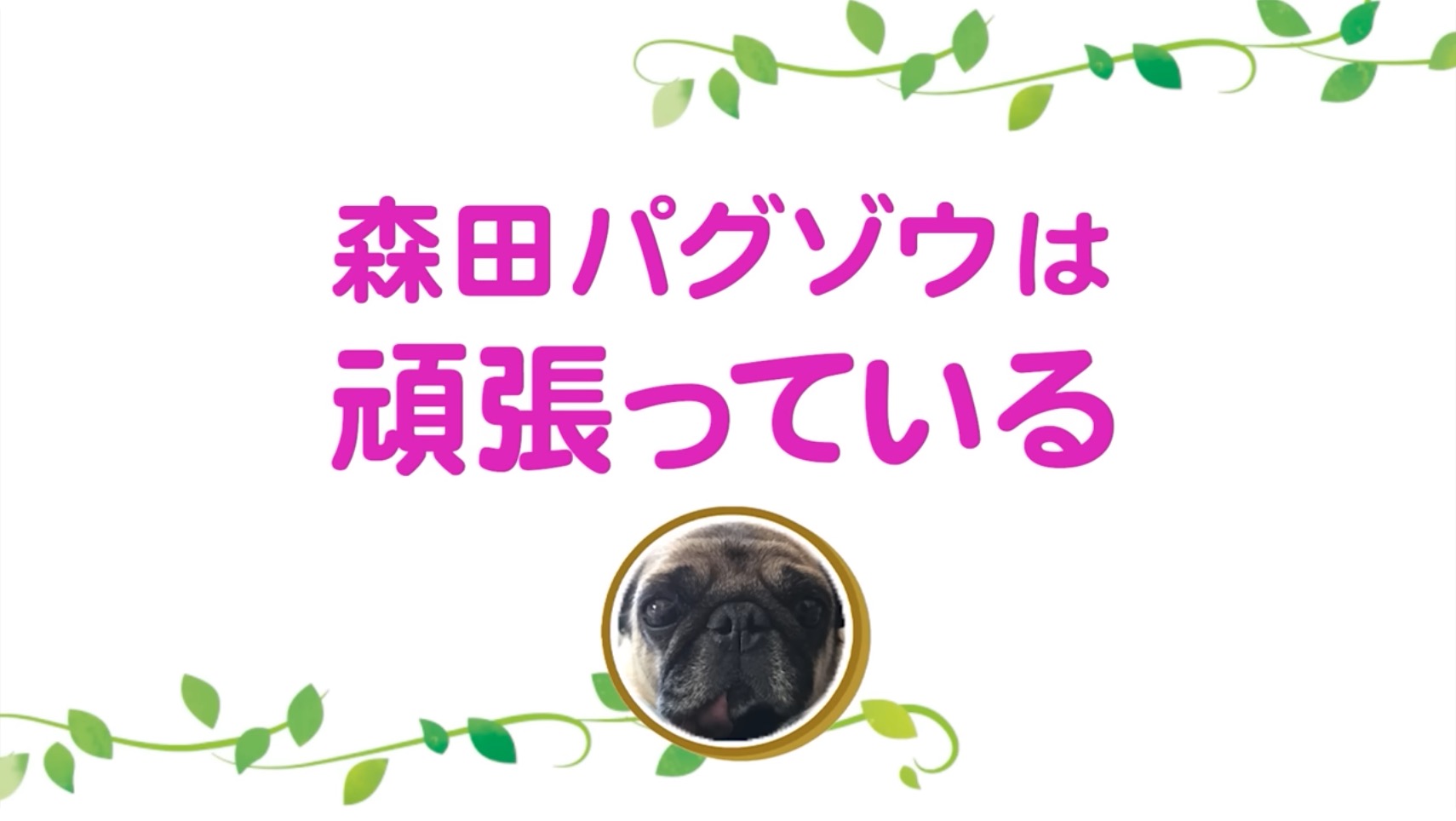 坂上忍の愛犬・パグゾウが永眠の画像