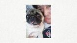 坂上忍の愛犬・パグゾウが永眠の画像