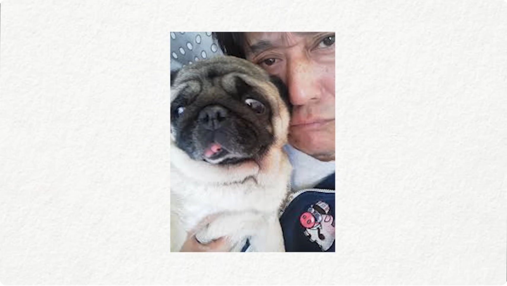 坂上忍の愛犬・パグゾウが永眠の画像