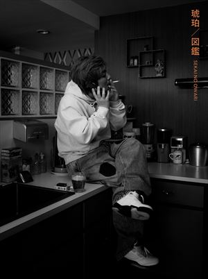 『琥珀／図鑑』初回限定盤A