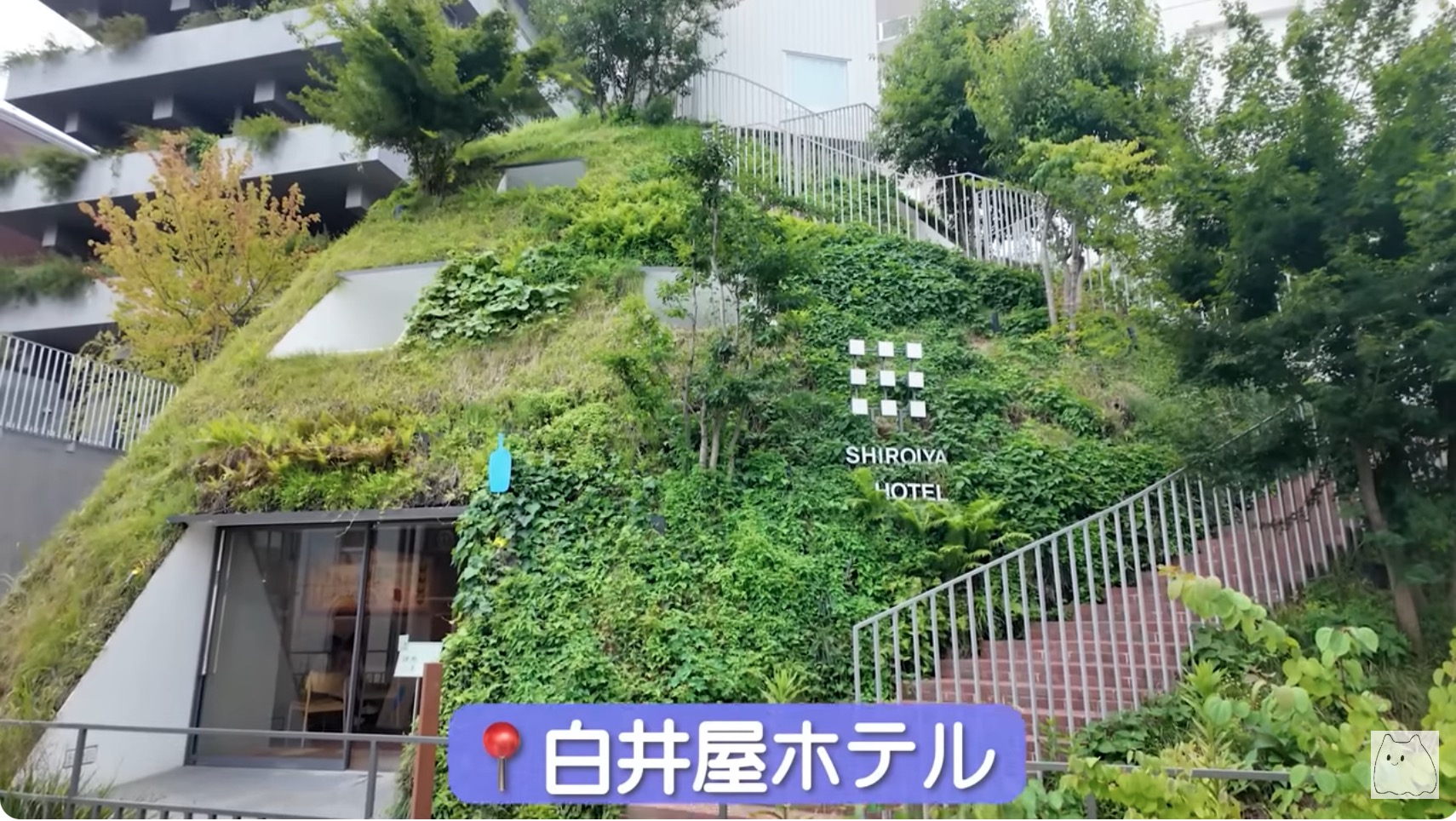 いけちゃん、群馬県の高級ホテルを満喫の画像